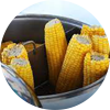 Точка по продаже вареной кукурузы